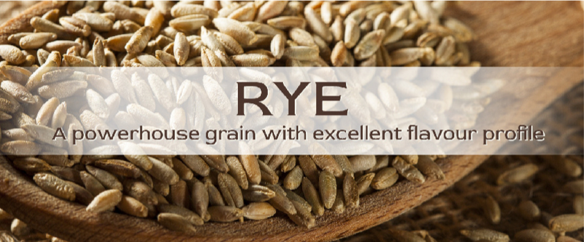 'Rye'-traditionally-cultivated-in-Europe-is-closely-related-to-wheat-and-barley.-Loaded-with-outstan