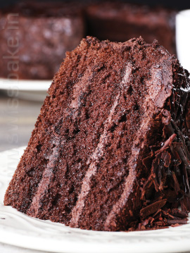 PERFECTA EF CHOCO SPONGE CONC